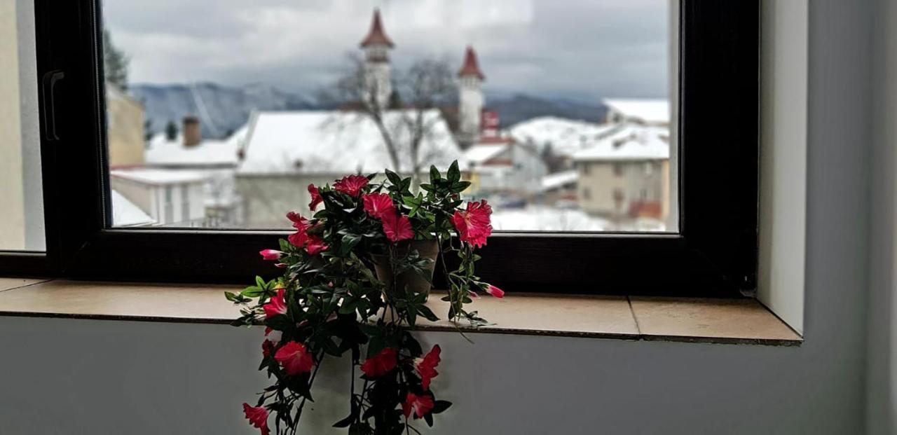 Vila William'S Braşov Esterno foto